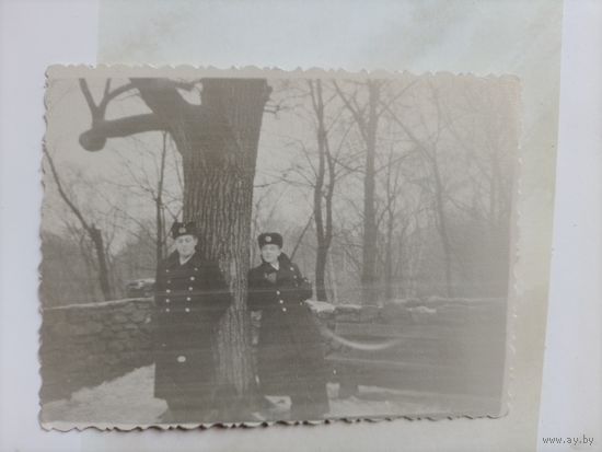 Фото в коллекцию