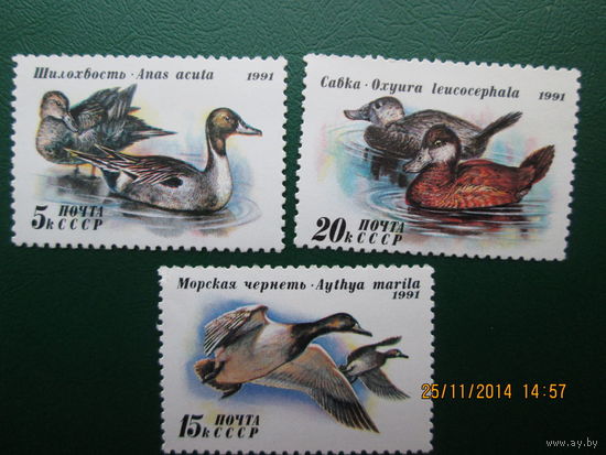 Утки 1991