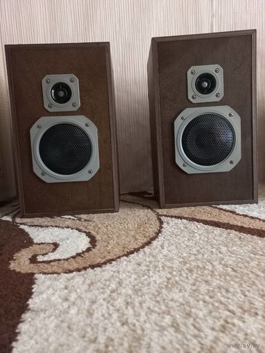 Акустика из СССР   RADIOTEHNIKA  S-30, S-25