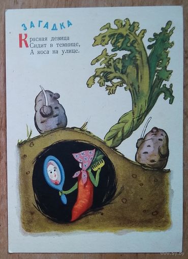 Елисеев М. и Скобелев А. Загадка. Морковь 1956 г. Чистая
