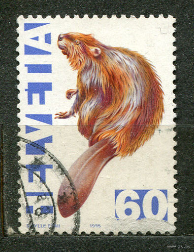 Европейский бобр. Фауна. Швейцария. 1995