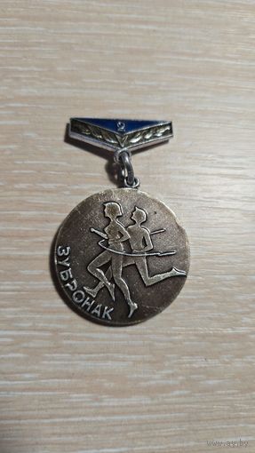 Значок Зубронак