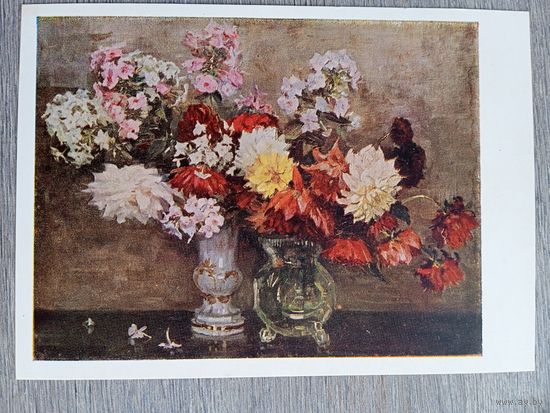 1954. Мясникова. Цветы