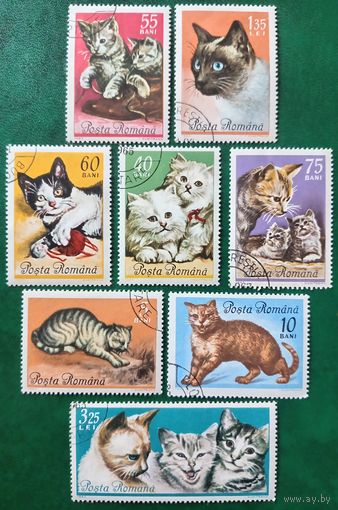 Румыния 1965. Породы кошек. Полная серия