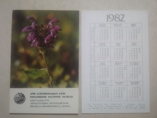 Карманный календарик. Охраняемое растения ЛатвССР. 1982 год