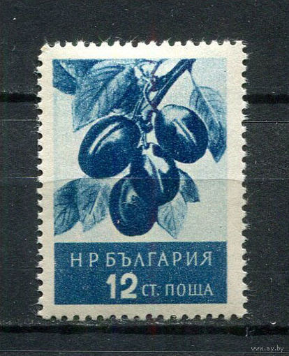 Болгария - 1956 - Сливы 12St - [Mi.991] - 1 марка. MH.  (Лот 21Fd)-T25P12