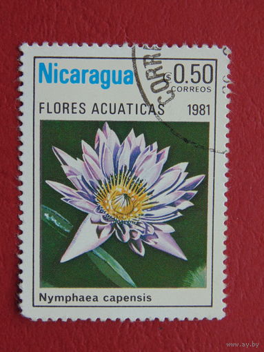 Никарагуа 1981г. Цветы.
