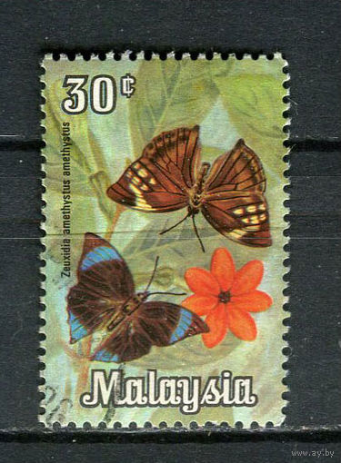 Малайзия - 1970 - Бабочки 30С - [Mi.64] - 1 марка. Гашеная.  (LOT Fg11)-T10P4