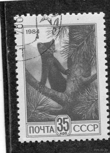 СССР 1984.. Стандарт. Офсет. Соболь