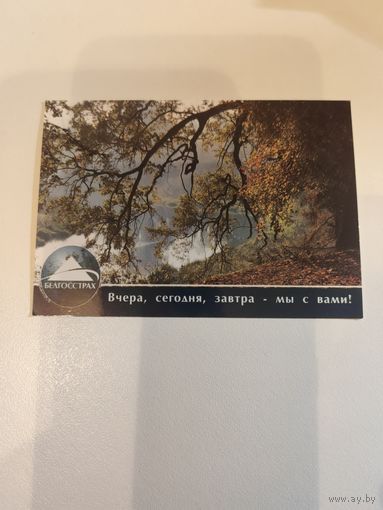 Календарик,страхование,2008