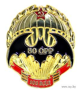 80 отдельная разведрота 103 воздушно-десантной  дивизии