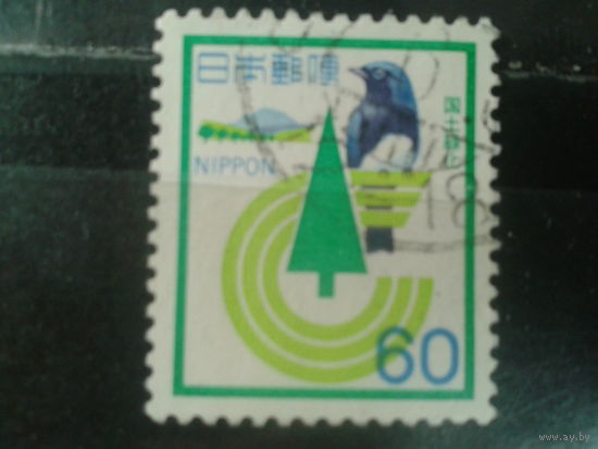 Япония, 1982. Лесовосстановление