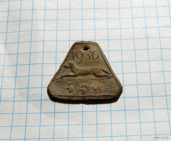 Собачий жетон 1930 Мотыкалы