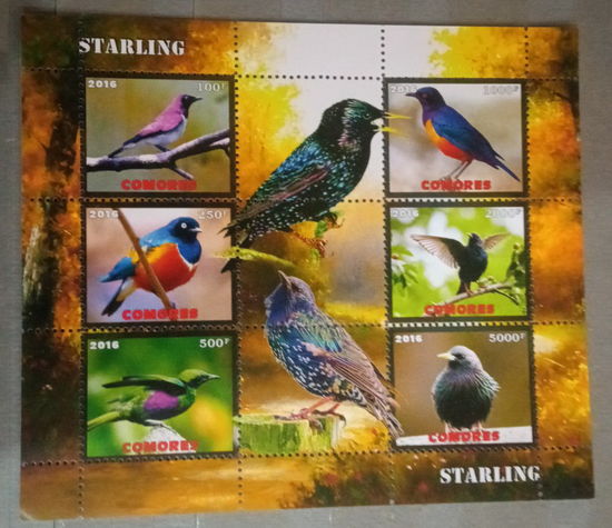 СЕРИЯ Блоков птицы   фауна  MNH