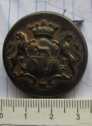 Пуговица дворянского рода Времевы большая плоская в позолоте