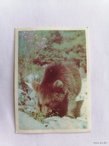 Карманный календарик 1990 г.