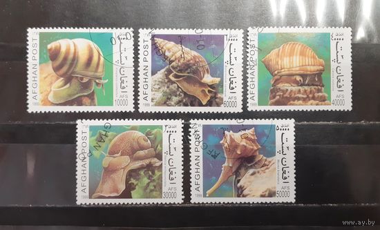 Афганистан. 1999 год. Фауна. улитки, ракушки (1265)
