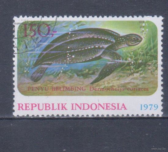 [214] Индонезия 1979. Фауна.Черепаха. Концовка серии.Гашеная марка.