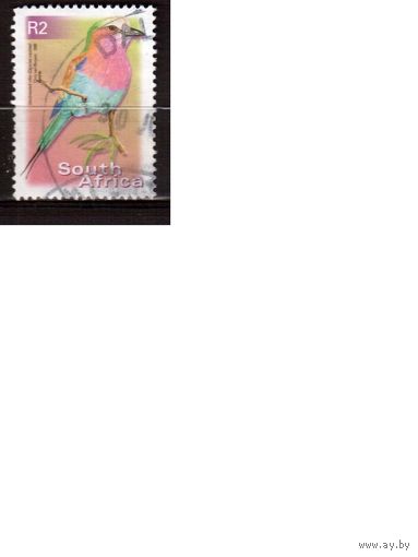 ЮАР-2000, (Мих.1304)  гаш. ,  Фауна, Птицы