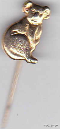 Коала (Австралия).