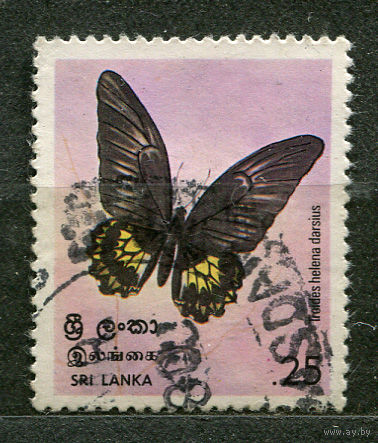 Бабочка. Шри-Ланка. 1978