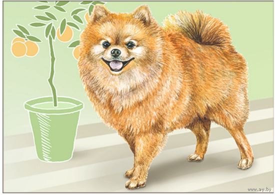 Собака. Из серии "Домашние питомцы". Открытка, глянец