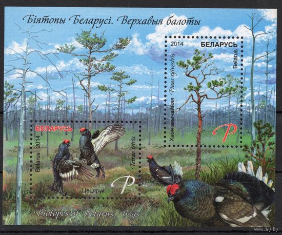 Беларусь 2014. Верховые болота. Блок 105 (711)
