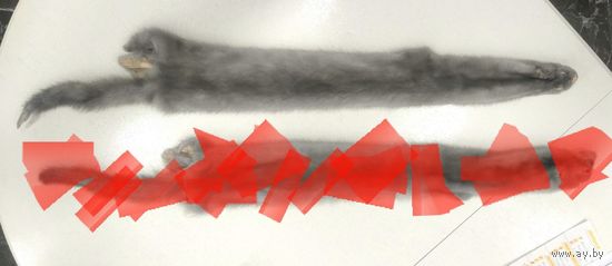 Шкурка Норки * Выделана * Длина без Хвостика 77 см * Ширина от 8 до 12 см