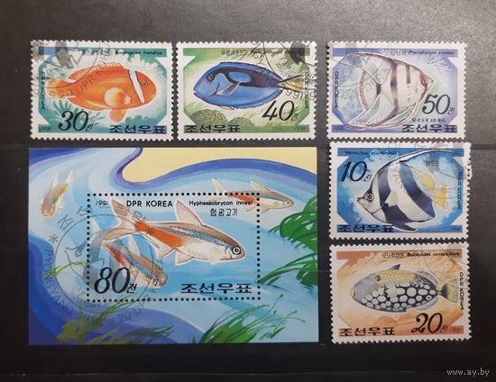 Корея. 1991 год. Фауна. Рыбы. Блок и 5 марок (4)