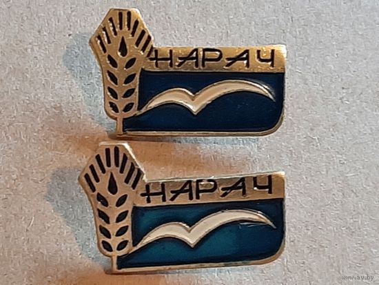 Значок ТУРИЗМ Нарочь.