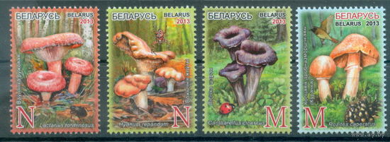 2013. 976-979. Грибы **