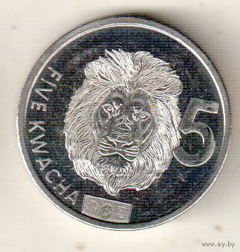 Замбия 5 квача 2024