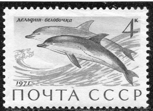 СССР 1971. Морская фауна. Дельфины