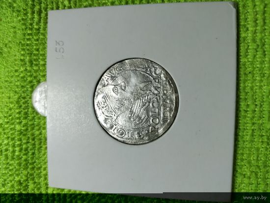 Сигизмунд Август. Грош 1566 г. Редкий!