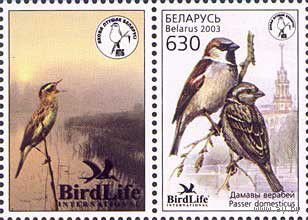 Птица года. Домовой воробей Беларусь 2003 год (506) серия из 1 марки с купоном