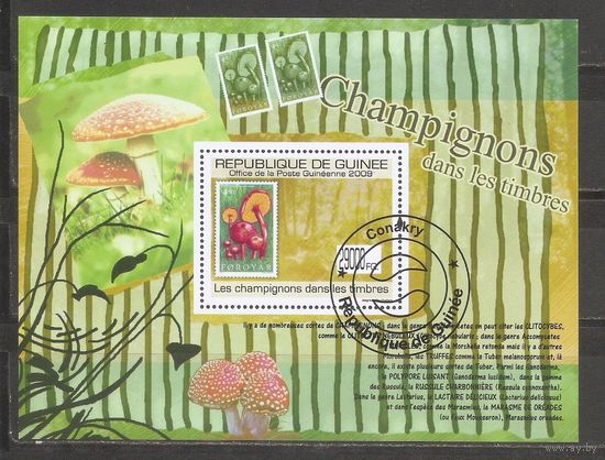 ЯЧ Гвинея 2009 Грибы