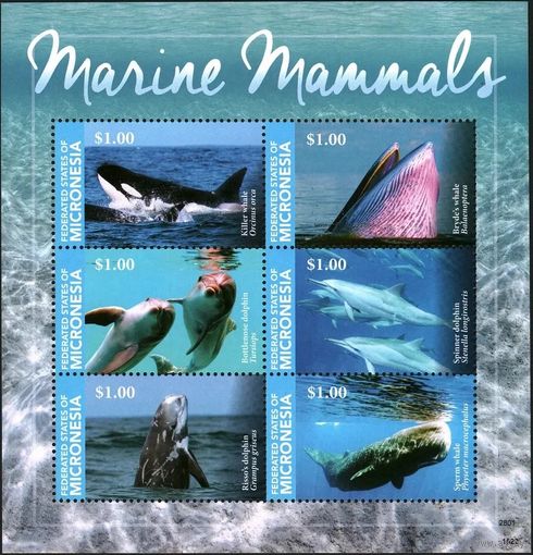 2015 Микронезия 6vKL Морская фауна - Киты, Дельфины 14,00 евро