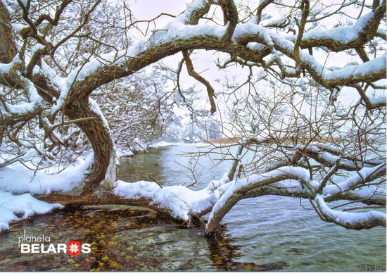 Планета Беларусь, озеро Дрисвяты, тираж 1000 экз.