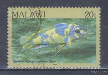 [1874] Малави 1984. Фауна.Рыбы. Гашеная марка.