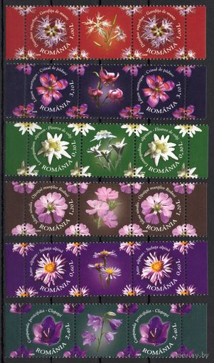 Румыния 2009. Флора. Цветы. Сцепка из 2 серий+купоны (6350)