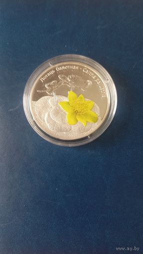 Лопаць балотная (Калужница), 20 рублей 2014 год. Серебро 999 Обмен.