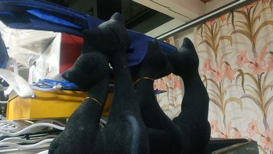 Котики .