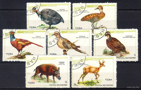 1970 Куба. Дичь
