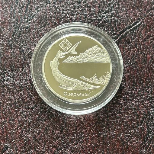 Стерлядь.1 рубль 2007 год.  Заказник "Днепро–Сожский".