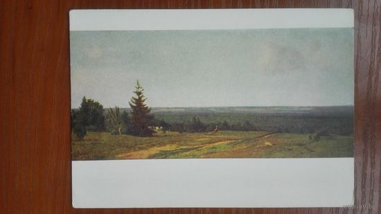 Соцреализм 1954. Ширяев. Бор под Шангалами