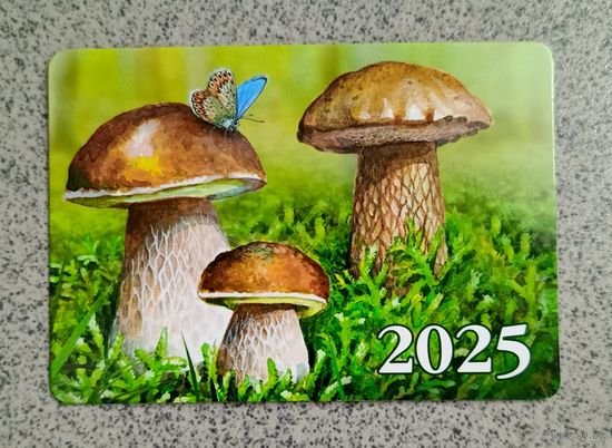 Календарик карманный 2025 белый гриб /желчный гриб Флора