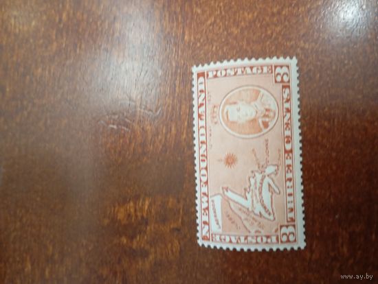 НЬЮФАУНДЛЕНД