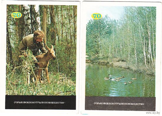 Календарики "70 лет Горьковоблохотрыболовобществу" 1989