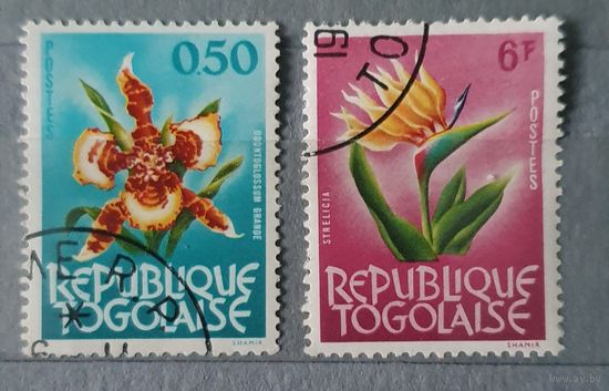 Того цветы 2шт