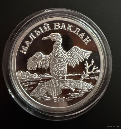 1 рубль 2003 г. Малый Баклан. ( серия Красная Книга.)  Россия.  Серебро.